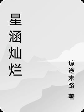 星汗灿烂剧集介绍