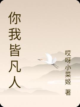 你我皆凡人六神磊磊