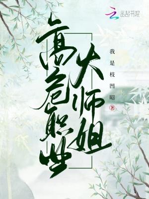 高危职业二师姐类似的书