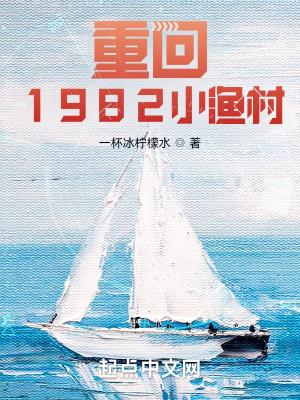 重回1982小渔村免费TXT