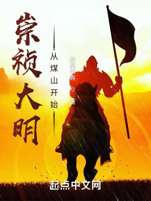 崇祯大明从煤山开始百度