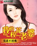 我的校花老婆 徐郎