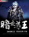 暗夜尊王萧宁免费版