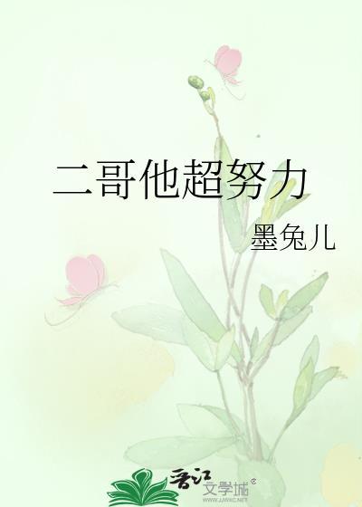 二哥他超努力 菠萝笔记