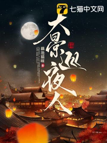 大景巡夜人听书