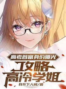 攻略高冷学姐TXT奇书网