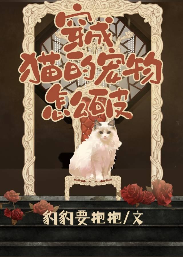 变成猫咪怎么破