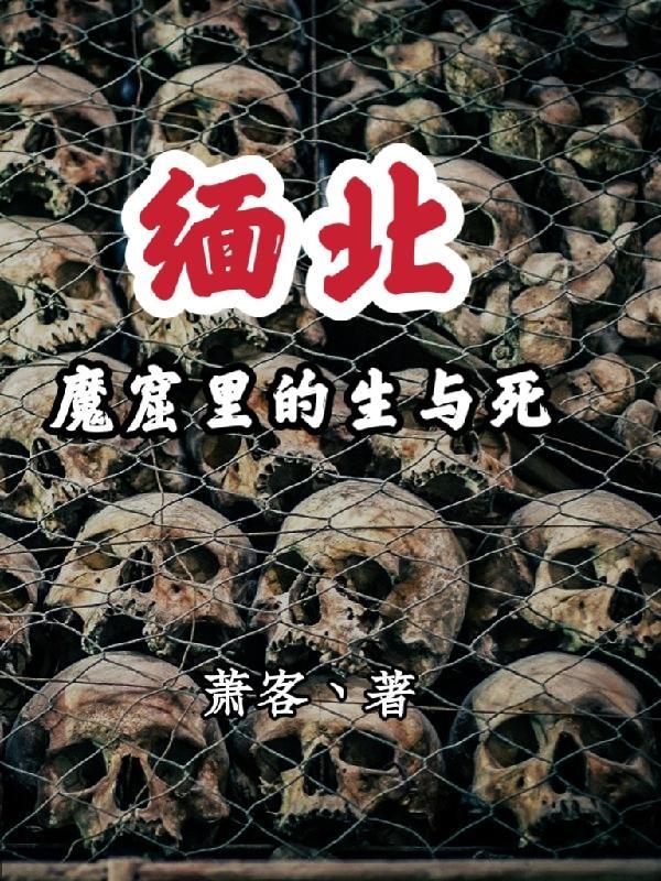 缅北魔窟里的生与死前传