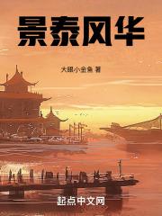 景泰风华无错版