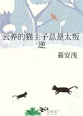 云养猫的风险分析