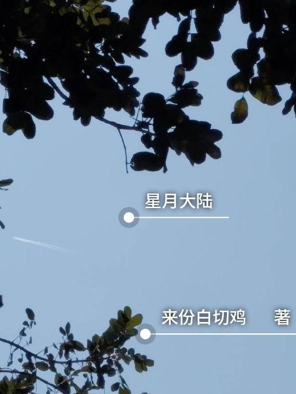 星月大陆5夜之王子阅读全文