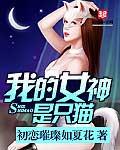 我的女神是只猫TXT精校版