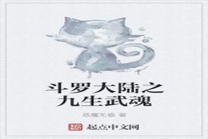 斗罗大陆之九阳