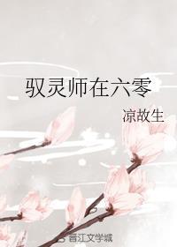 驭灵师在六零免费