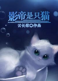 影帝是只猫胖子圆圆