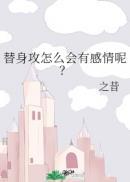 替身攻怎么会有感情呢讲的什么