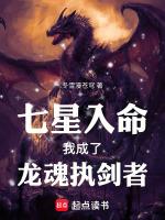 主角穿越成七星龙渊的