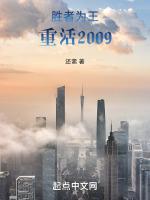 胜者为王重活2009无防盗