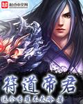 符道帝尊