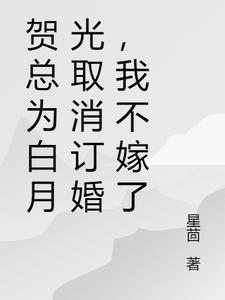 我不嫁了星茴 / 著