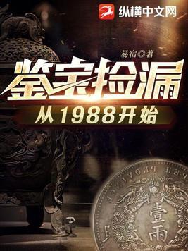 鉴宝捡漏从1988开始 易宿