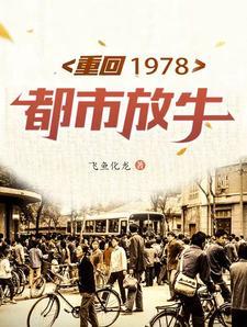 重回1978江帆