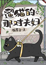 遛猫的坏处