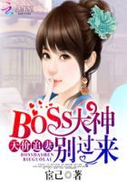 天价闪婚boss宠妻