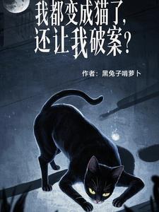 都市我变成了一只猫