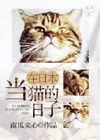 网红猫的悠闲生活