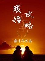 暖婚攻略讲的什么