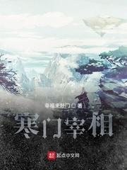 寒门宰相无错版