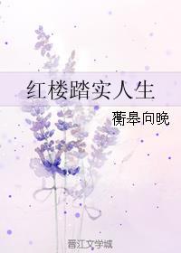 红楼踏实人生TXT