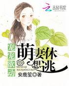 暖婚蜜爱盛宠小甜妻 第501章