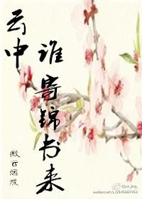 且插梅花赏日落是什么生肖