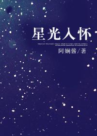 星光入怀无防盗章