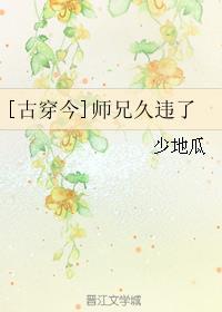 古言师兄文