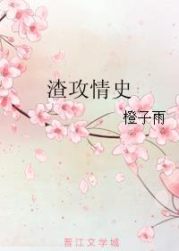 渣攻情史说的什么