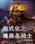 魔兽圣骑士玩什么种族