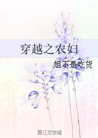 穿越之农妇妆娘txt