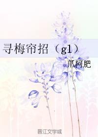 寻梅帘招谁攻