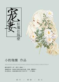 宠妻狂魔系列