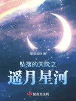 坠落的天阶之遥月星河