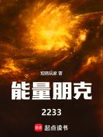 能量朋克2233