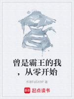 曾是霸王的我，从零开始